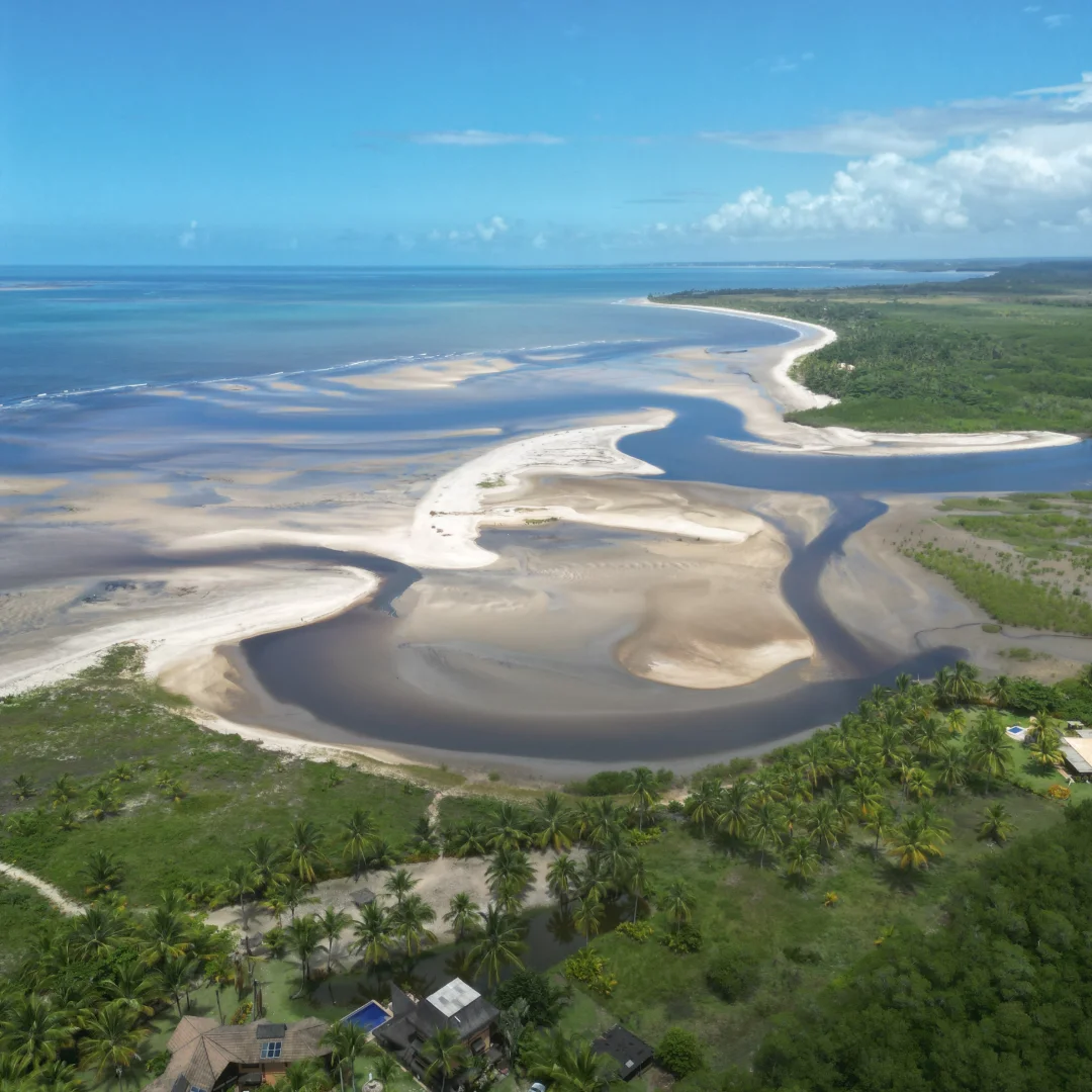 bobocas-coroa-02