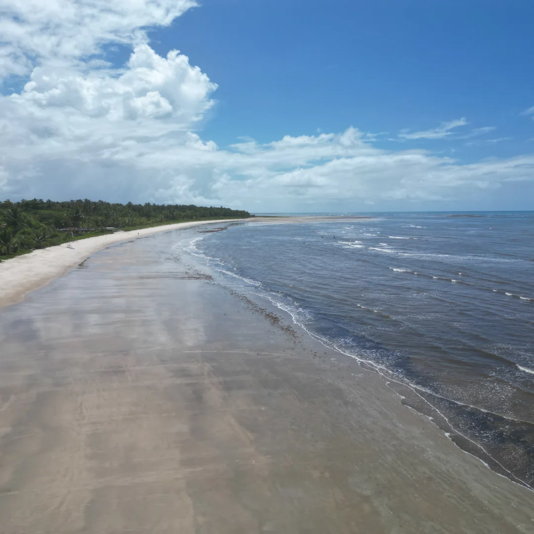 bobocas-coroa-04